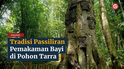 Pohon Tarra Toraja Panjang antara 40 and 60 huruf